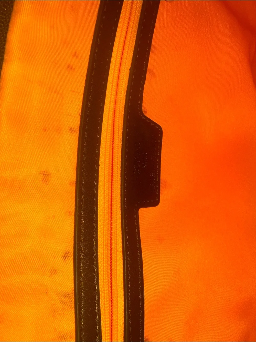 Goyard Orange Interior Zip Pouch